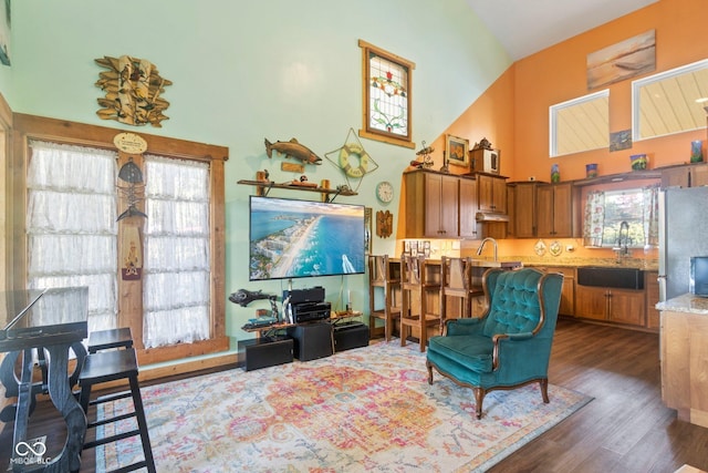 7437 Center Lake Rd, Nineveh, IN 46164 - living room featuring high vaulted ceiling and dark wood finished floors