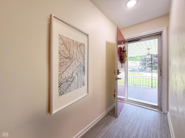 8883 W Hilltop Ln, Elwood, IN 46036 - doorway with baseboards and wood finished floors