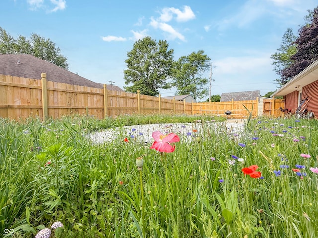 8883 W Hilltop Ln, Elwood, IN 46036 - view of yard