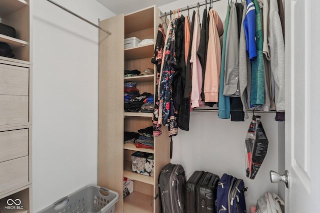 10792 Sawgrass Dr, Fishers, IN 46037 - view of walk in closet