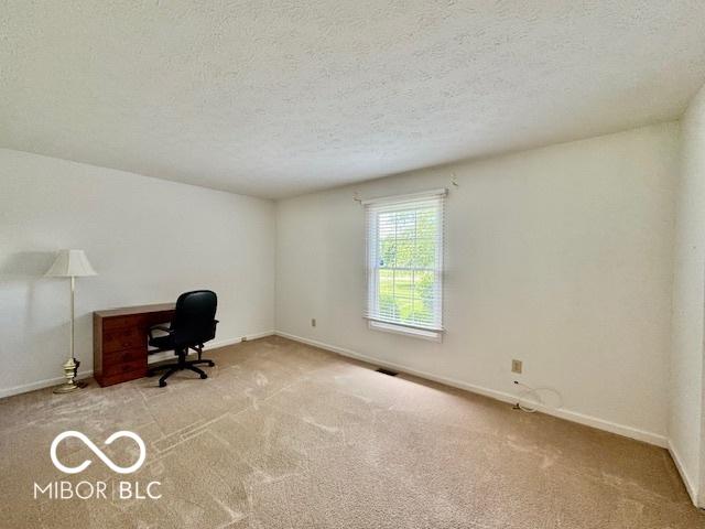 1042 W Oak Hill Xing, Crawfordsville, IN 47933 - unfurnished office with carpet floors and a textured ceiling