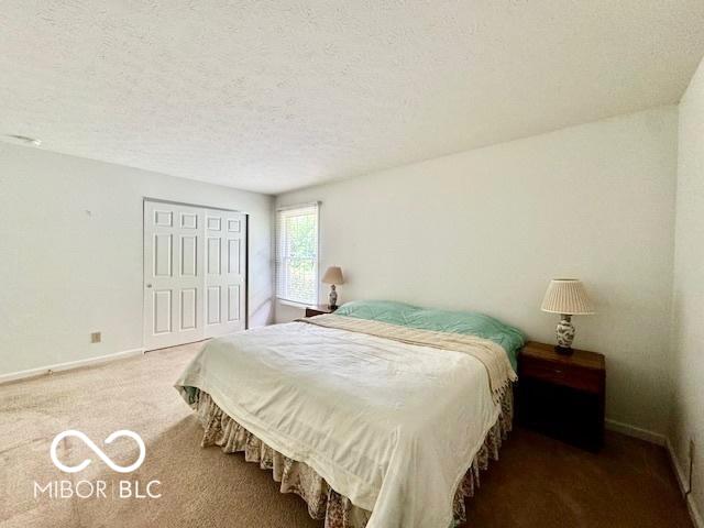 1042 W Oak Hill Xing, Crawfordsville, IN 47933 - bedroom with carpet flooring, a closet, and a textured ceiling