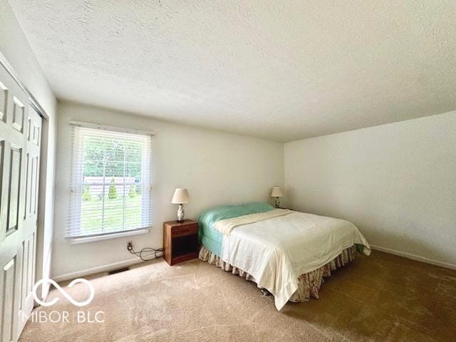 1042 W Oak Hill Xing, Crawfordsville, IN 47933 - bedroom featuring carpet floors, a textured ceiling, and a closet