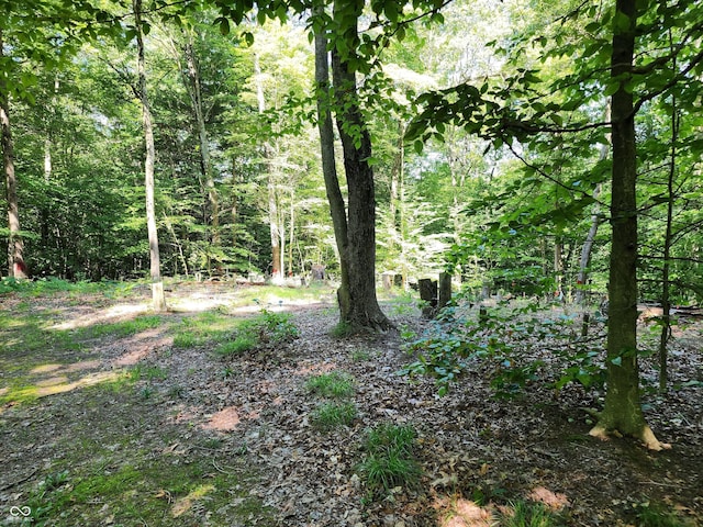 3540 W Hickory Creek Ct, Martinsville, IN 46151 - photo 8