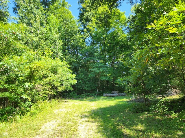 3540 W Hickory Creek Ct, Martinsville, IN 46151 - photo 7