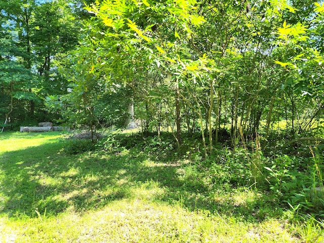 3540 W Hickory Creek Ct, Martinsville, IN 46151 - photo 2