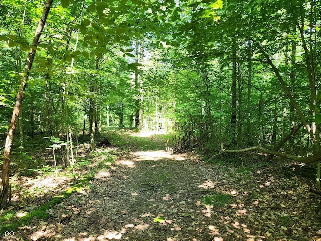 3540 W Hickory Creek Ct, Martinsville, IN 46151 - photo 4