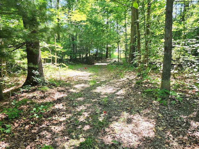 3540 W Hickory Creek Ct, Martinsville, IN 46151 - photo 5