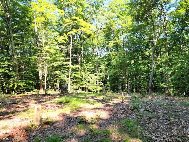 3540 W Hickory Creek Ct, Martinsville, IN 46151 - photo 3