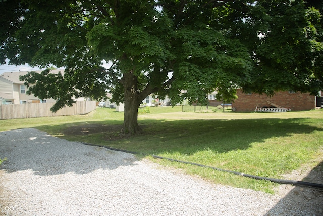 12 E N St, New Palestine, IN 46163 - view of yard