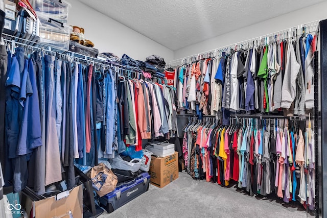 9978 Trafford Ct, Mccordsville, IN 46055 - spacious closet featuring carpet floors