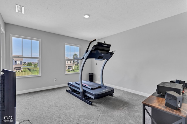 9978 Trafford Ct, Mccordsville, IN 46055 - workout room with a textured ceiling and carpet floors
