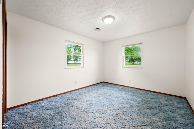 1620 W 300 S, Franklin, IN 46131 - carpeted spare room with plenty of natural light and a textured ceiling