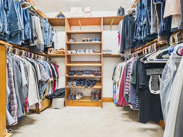 1014 Gray Squirrel Dr, Pendleton, IN 46064 - spacious closet with carpet flooring