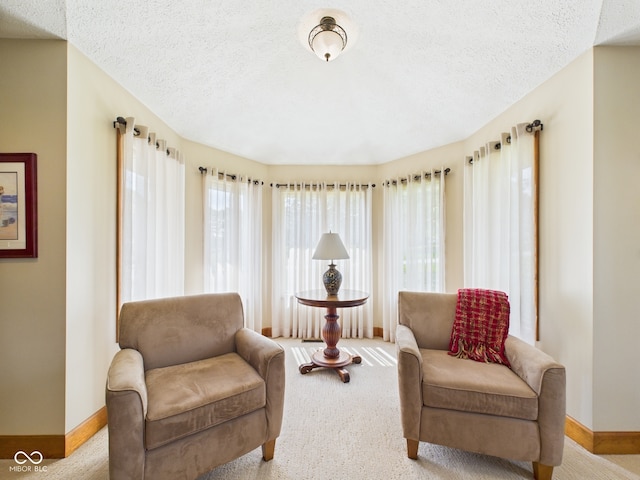 1014 Gray Squirrel Dr, Pendleton, IN 46064 - sitting room featuring carpet and a textured ceiling
