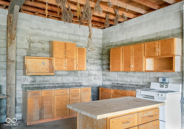 9665 N County Rd 250 E, Frankfort, IN 46041 - kitchen featuring electric stove, concrete floors, and concrete block wall
