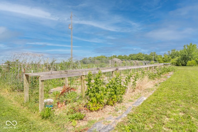 9665 N County Rd 250 E, Frankfort, IN 46041 - view of grassy yard