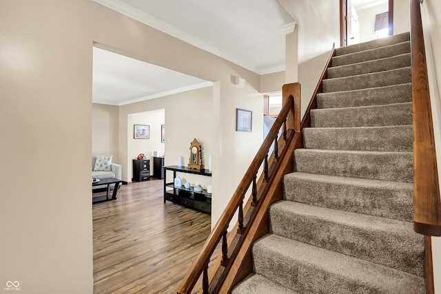 8413 Slippery Elm Ct, Indianapolis, IN 46227 - stairway with wood finished floors and crown molding