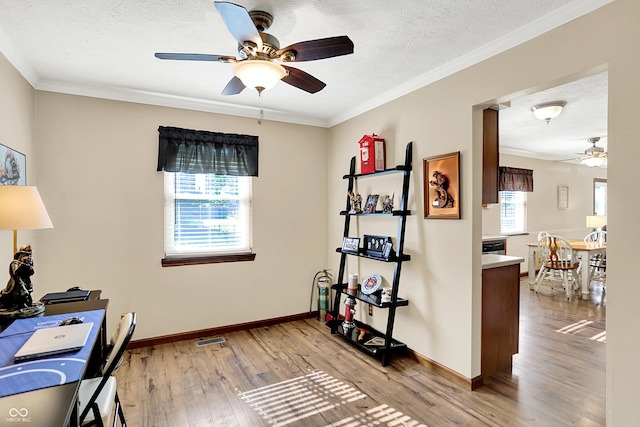 8413 Slippery Elm Ct, Indianapolis, IN 46227 - office with a ceiling fan, light wood finished floors, crown molding, and a textured ceiling