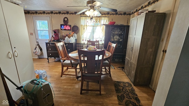 6714 Granner Ct, Indianapolis, IN 46221 - dining space featuring a ceiling fan, a textured ceiling, and light wood-type flooring