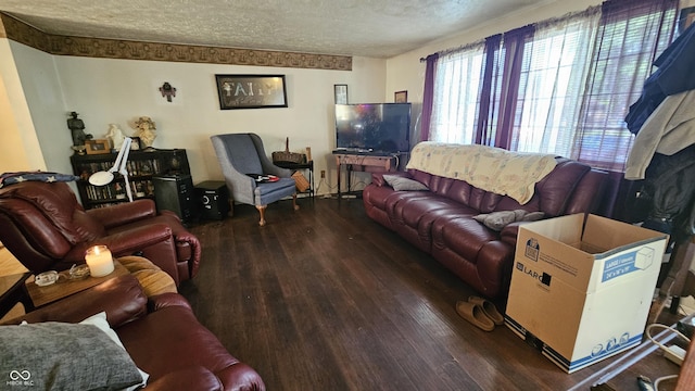 6714 Granner Ct, Indianapolis, IN 46221 - living area featuring wood finished floors and a textured ceiling