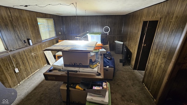 6714 Granner Ct, Indianapolis, IN 46221 - miscellaneous room featuring carpet and wooden walls