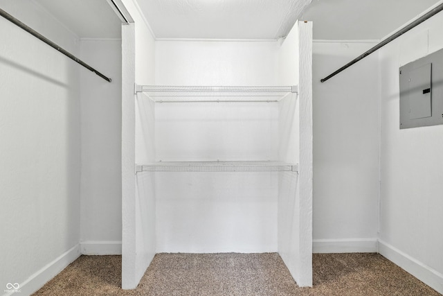 1621 E Kelly St, Indianapolis, IN 46203 - spacious closet with electric panel and carpet