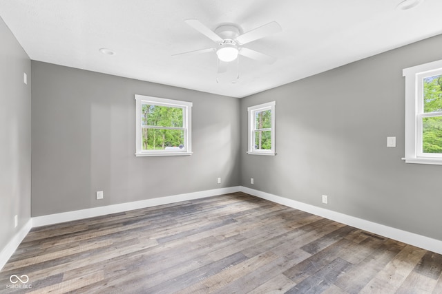 4359 N State Road 75th Hwy, North Salem, IN 46165 - unfurnished room featuring healthy amount of natural light, ceiling fan, and wood finished floors
