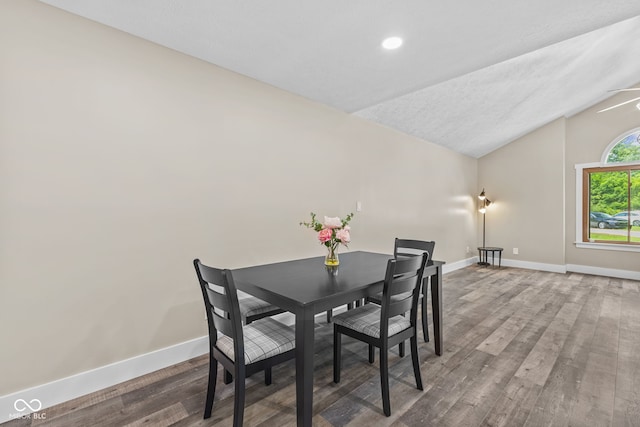4359 N State Road 75th Hwy, North Salem, IN 46165 - dining room with vaulted ceiling, wood finished floors, and recessed lighting