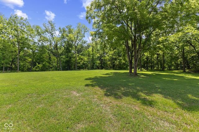 4359 N State Road 75th Hwy, North Salem, IN 46165 - view of green lawn
