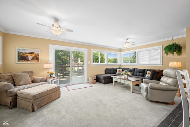 6990 Drum Dr, Nineveh, IN 46164 - photo 52