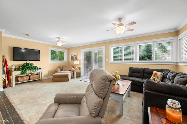6990 Drum Dr, Nineveh, IN 46164 - photo 81