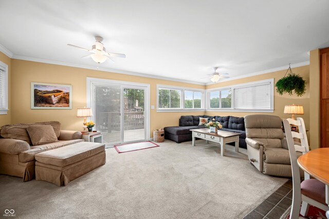 6990 Drum Dr, Nineveh, IN 46164 - photo 5