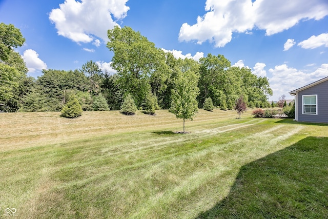 20141 Willenhall Way, Westfield, IN 46074 - view of green lawn