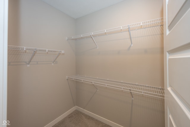 20141 Willenhall Way, Westfield, IN 46074 - spacious closet with carpet