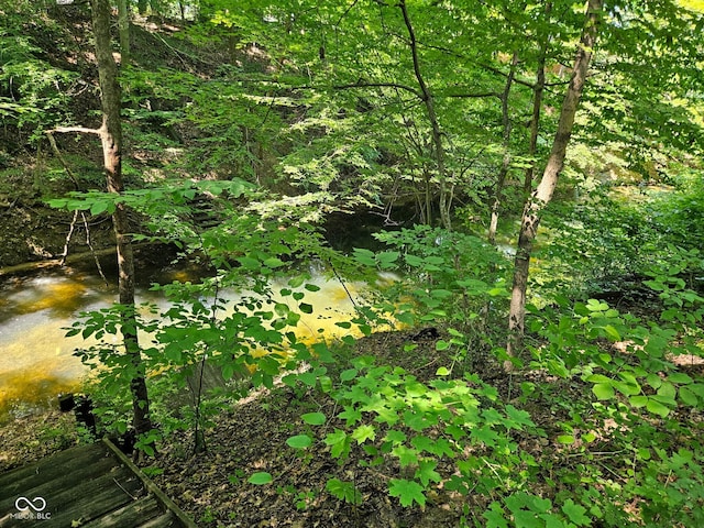9713 E Poplar Dr, Brazil, IN 47834 - view of nature