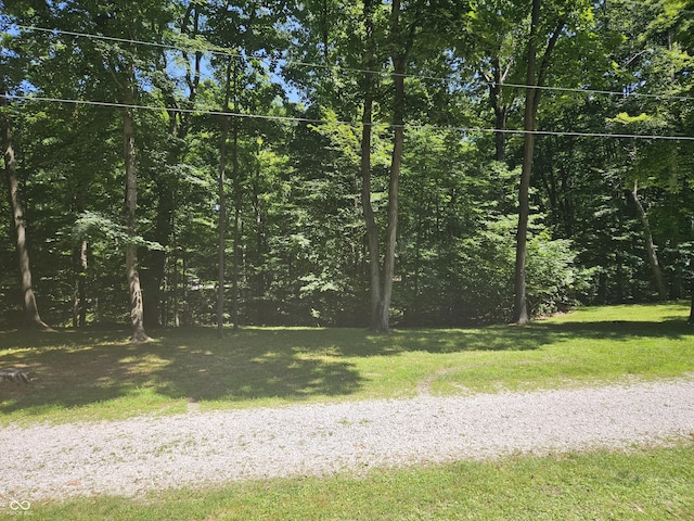 9713 E Poplar Dr, Brazil, IN 47834 - view of grassy yard