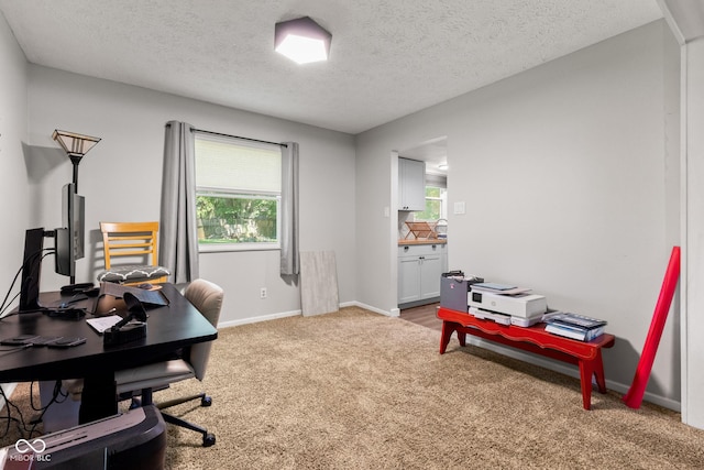 296 Summit Ridge Dr, Greenwood, IN 46142 - office area featuring carpet floors, healthy amount of natural light, and a textured ceiling
