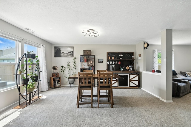 8147 Retreat Ln, Indianapolis, IN 46259 - dining space featuring carpet, a textured ceiling, and plenty of natural light