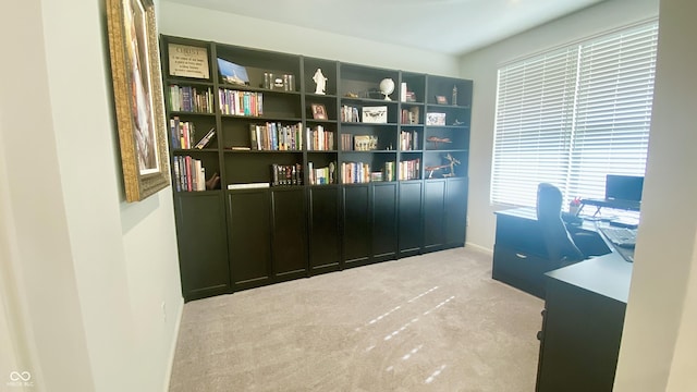 4081 Lotus St, Plainfield, IN 46168 - office area with carpet and baseboards