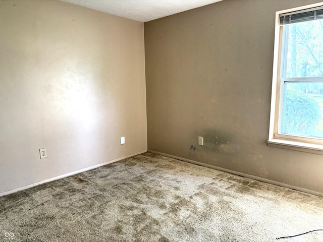 8060 Castle Farms Ct, Indianapolis, IN 46256 - photo 11