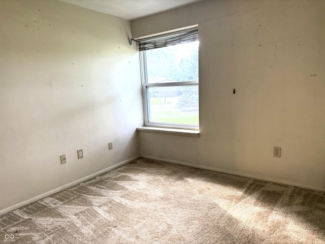 8060 Castle Farms Ct, Indianapolis, IN 46256 - photo 12