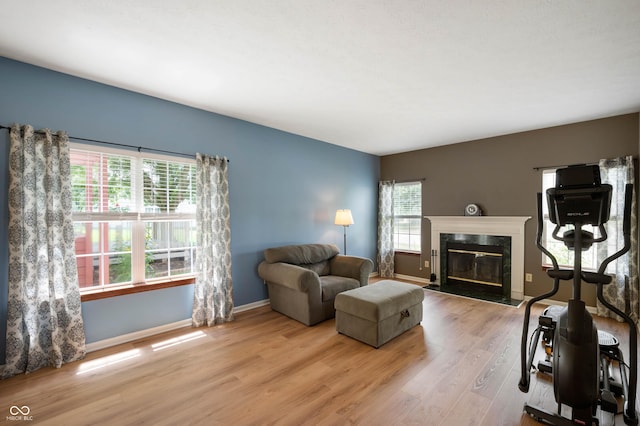 8365 Captain Dr, Avon, IN 46123 - living room featuring wood finished floors and a high end fireplace