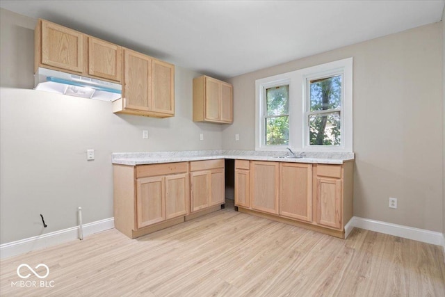 2813 S Monroe St, Muncie, IN 47302 - kitchen with light brown cabinets, under cabinet range hood, light wood-type flooring, and light countertops