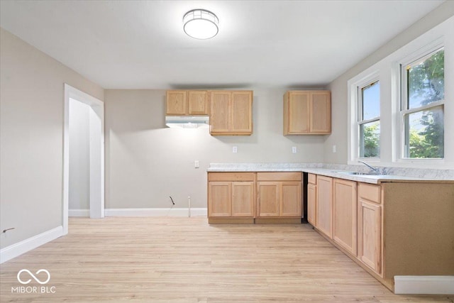 2813 S Monroe St, Muncie, IN 47302 - kitchen with under cabinet range hood, light brown cabinets, light wood-type flooring, and light countertops