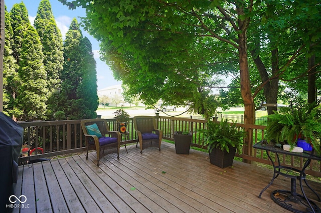 10443 Clifty Falls Rd, Indianapolis, IN 46239 - photo 49