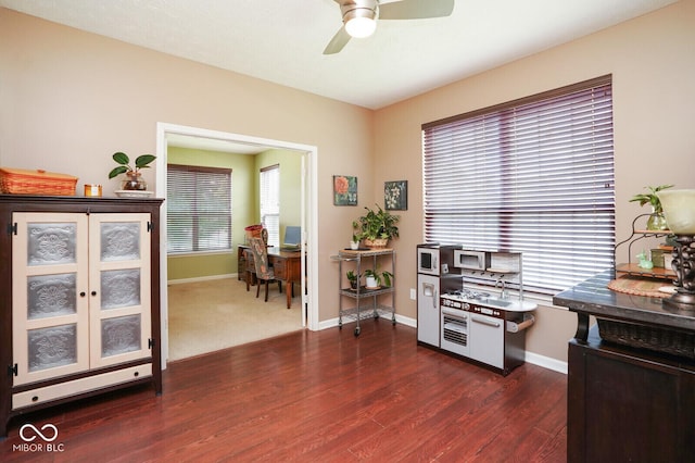 10443 Clifty Falls Rd, Indianapolis, IN 46239 - photo 29