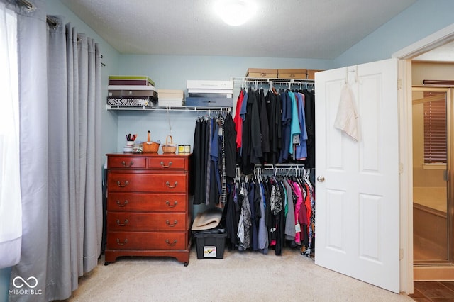 10443 Clifty Falls Rd, Indianapolis, IN 46239 - photo 37