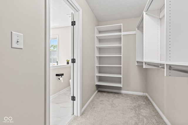 5910 Hickory Woods Dr, Plainfield, IN 46168 - walk in closet featuring carpet
