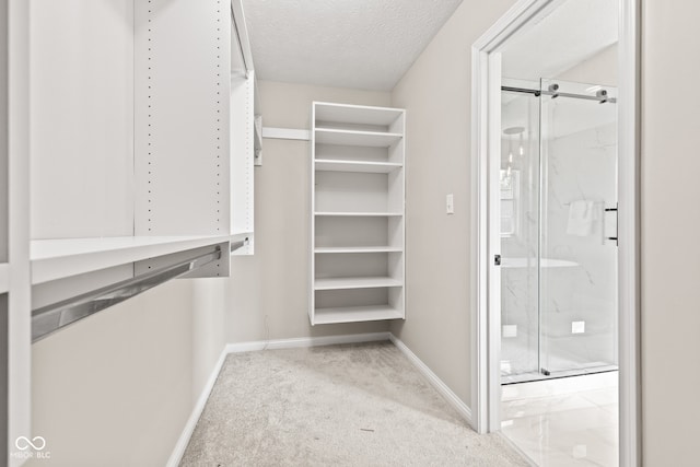 5910 Hickory Woods Dr, Plainfield, IN 46168 - spacious closet with carpet flooring